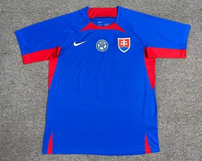 2425 Slovak home Soccer Jersey